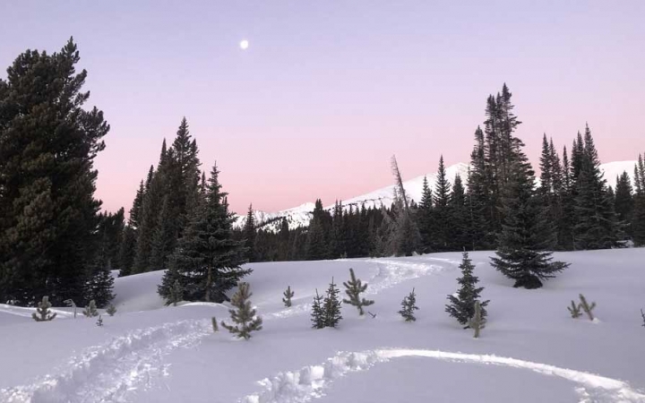 the moon appears in a purple and pink sky above a snowy landscape with a few trees